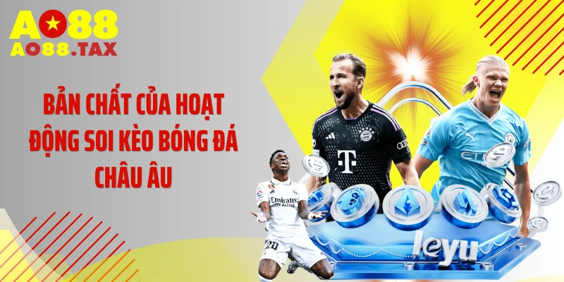 Bí Kíp Soi Kèo Châu Âu Thần Thánh Đánh Sập Nhà Cái 2 Bản chất của hoạt động soi kèo bóng đá châu Âu
