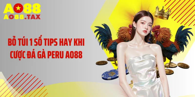 Bỏ túi 1 số tips hay khi cược đá gà Peru AO88
