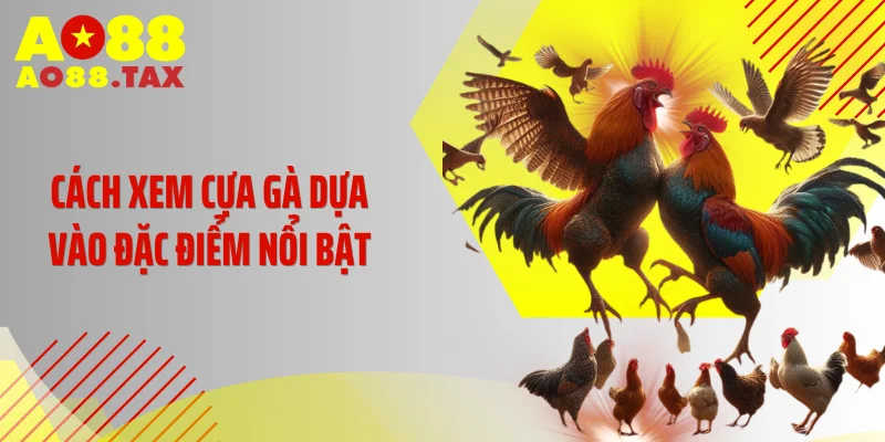 Cách Xem Cựa Gà Ao88 - Tuyệt Kỹ Nhận Diện Chiến Thần Bất Bại 3 Cách xem cựa gà dựa vào đặc điểm nổi bật