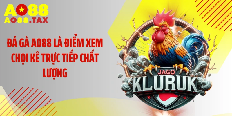 Đá gà AO88 là điểm xem chọi kê trực tiếp chất lượng